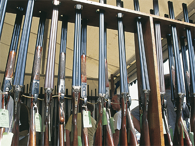 Buying your first gun