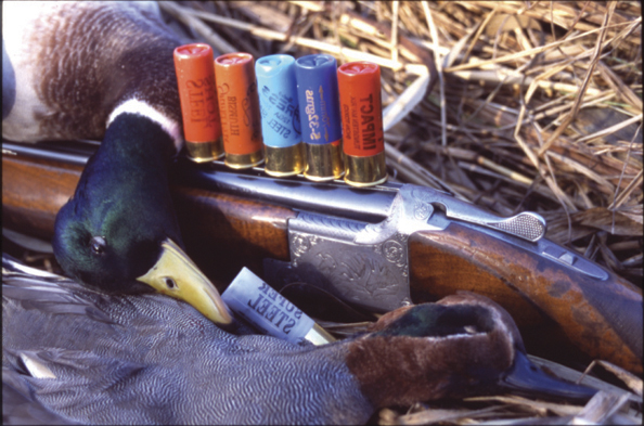 Which shot for wildfowl?