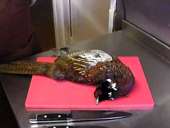 How to skin a pheasant video