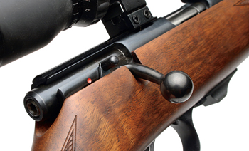 Weihrauch HW60J .17HMR rifle review
