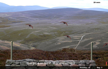 Barbour Grouse shooting game!