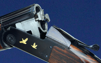Darne Damon Petrick shotgun review