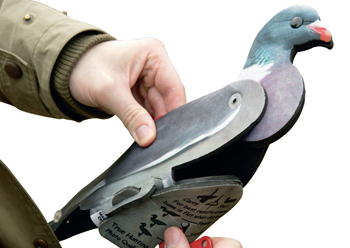 FUD pigeon decoys reviewed
