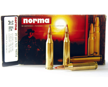 Norma .243 bullets
