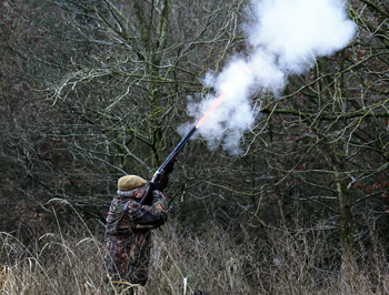 For game shooting, what is the going rate for sporting rights?
