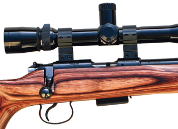 CZ 455 .17 HMR rifle review