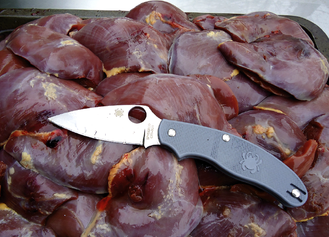 Spyderco UK PlainEdge penknife