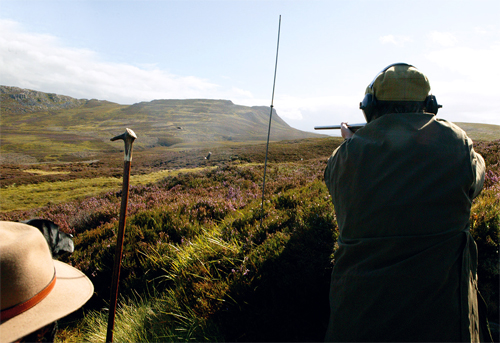 Sotheby's Chairman wounded while grouse shooting