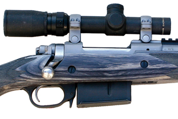 Ruger Scout .308 rifle review