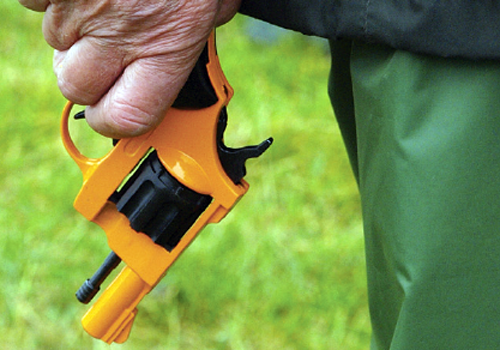 What age do you introduce gundogs to gunfire?