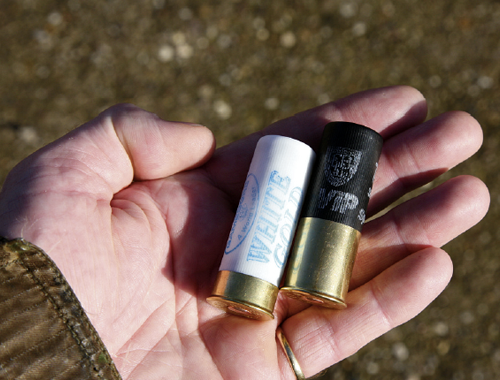 Are shotgun cartridges with long brass heads worth more?