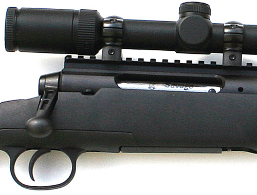 Savage Axis rifle .22-250 review   