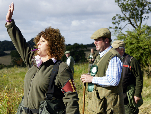 Can I use voice commands when handling my gundog?