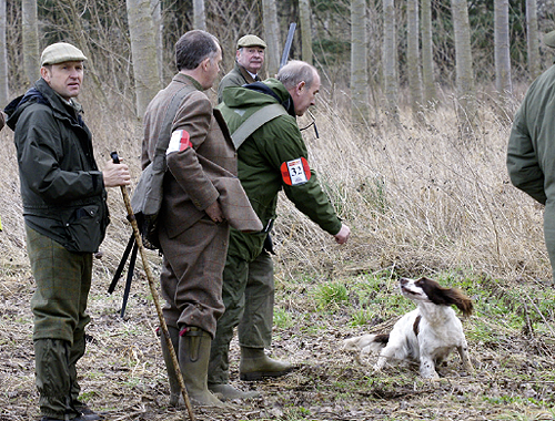 Will a lot of whistling matter in a gundog test?
