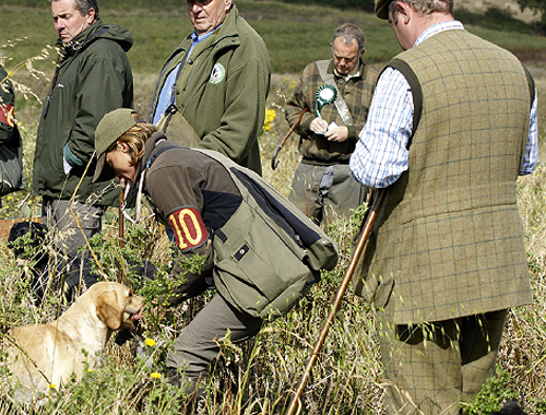Is there a minimum number of retrieves in a gundog test?