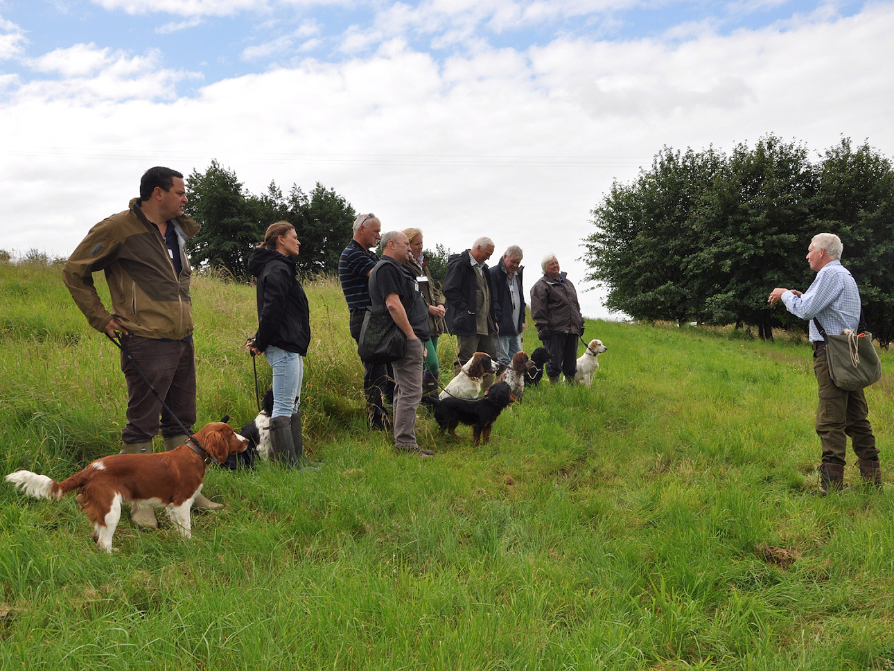 Kennel Club - Gundog Training Days 