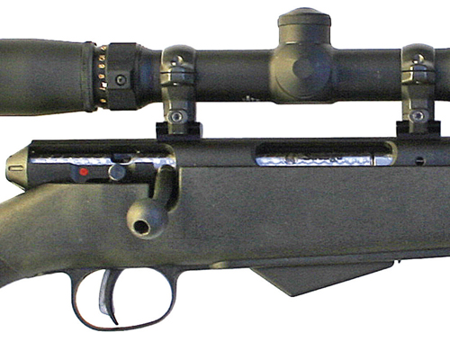 Gun reviews: Savage Model 25 in .17 Hornet