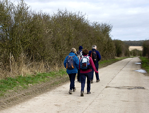 What's the best way of dealing with walkers when stalking?