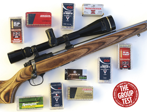.22WMR Cartridge ammo review