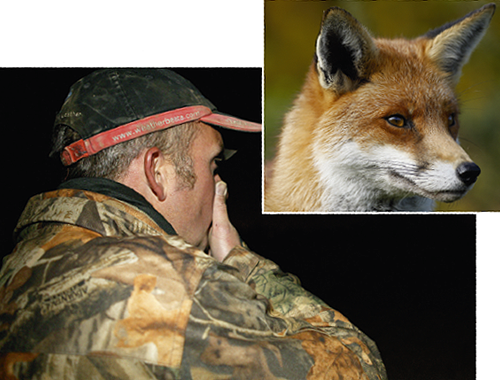 HOW TO SQUEAK A FOX!