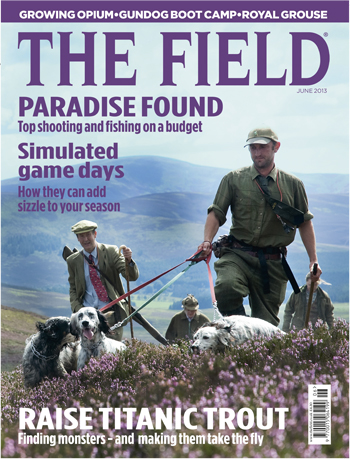 The Field June 2013 issue