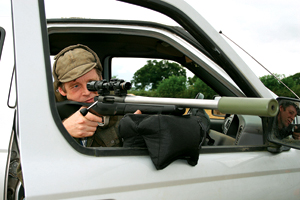 .17 Remington cartridge review