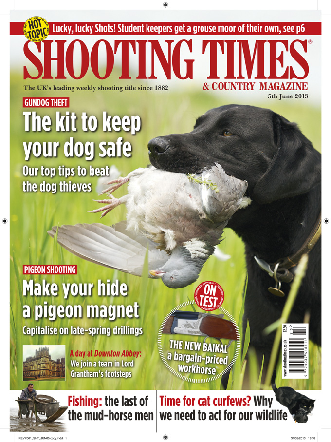 Shooting Times & Country Magazine