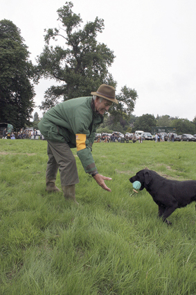 How can I stop my gun dog from dropping the dummy?