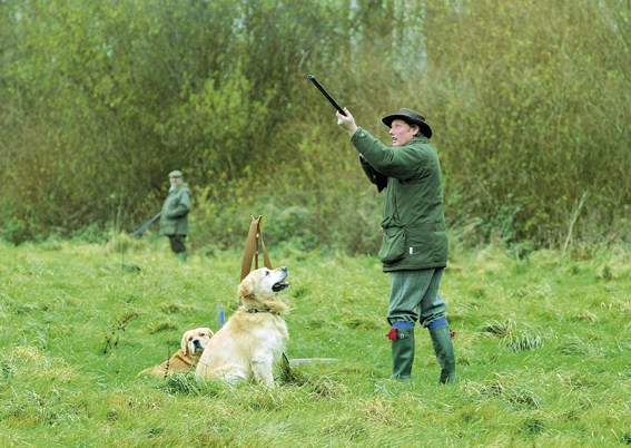 My gun dogs run off at the sound of gunfire. Can you help?
