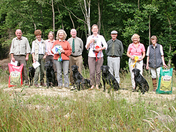 SEGS open working gun dog test