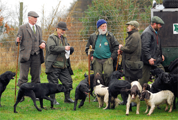 How do I stop my gun dog being aggressive?