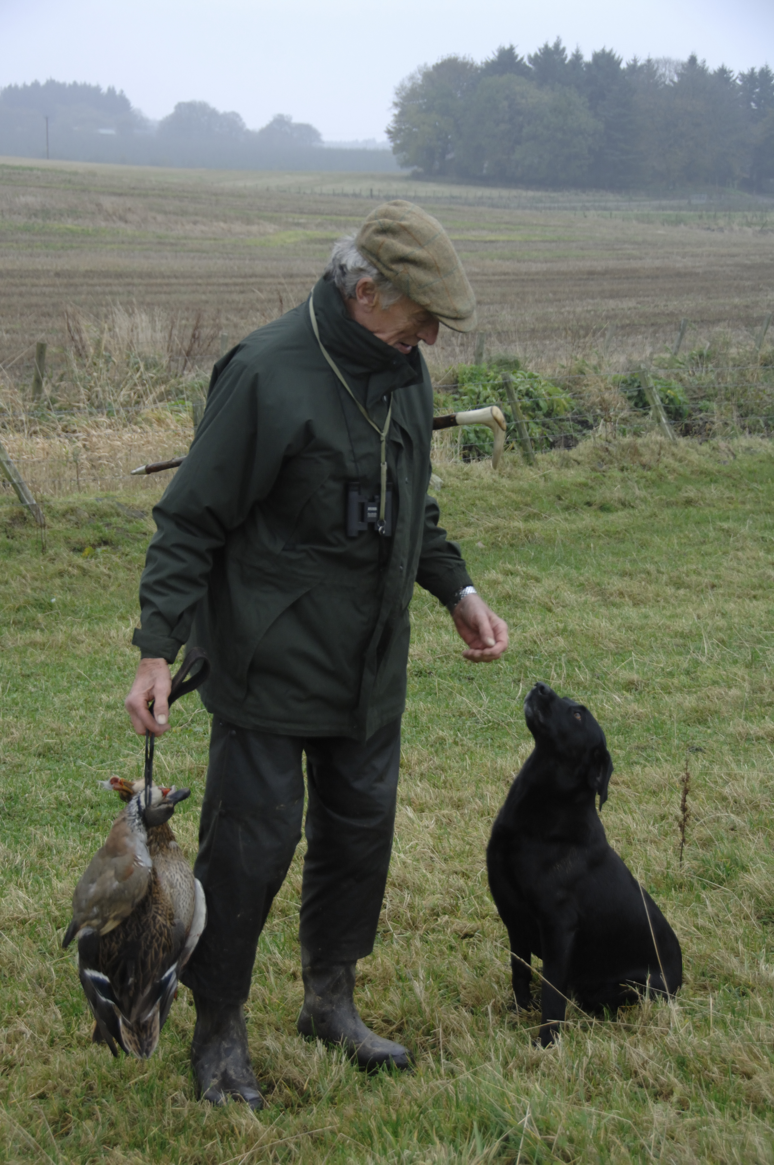Can I stop my gundog running off?