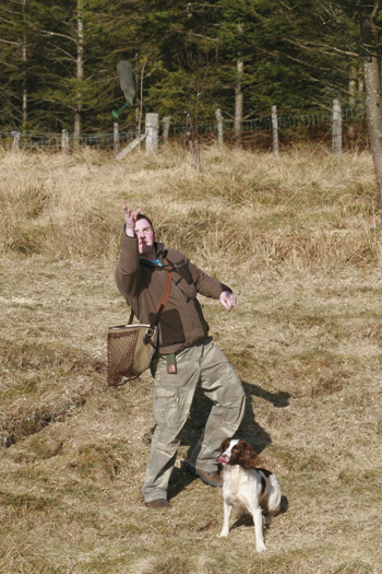 Why won't my gundog hunt?
