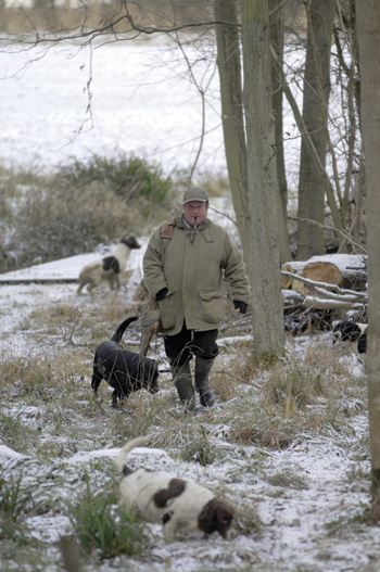 Why does my gundog get overwhelmed?