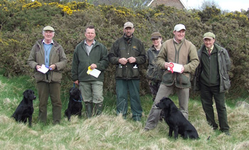 Goldens at Butterknowle Fell