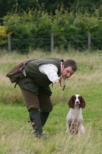How can I improve my spaniel&rsquo;s retrieving skills?