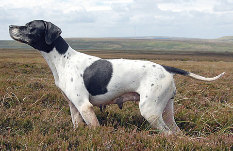 Entries sought for HPR working tests in July